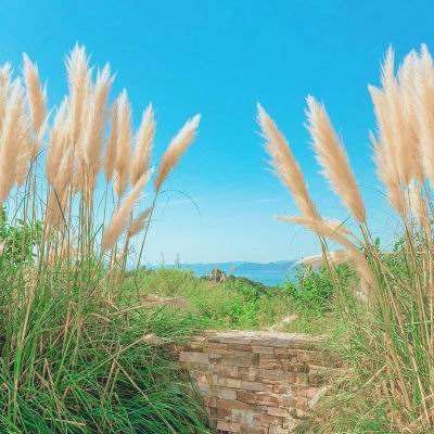 可下分电玩下载手机版