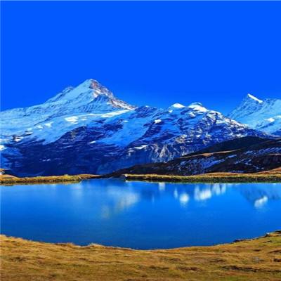 半岛综合官网App