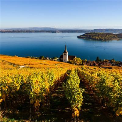 b体育官方app下载下载手机版