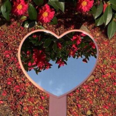 im电竞官方网站下载手机版