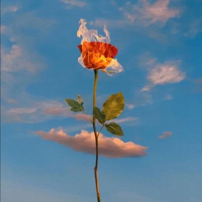 金沙澳门场娱网址