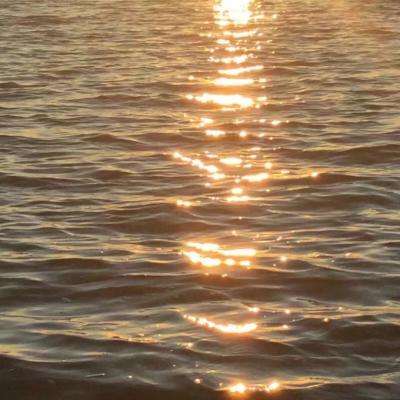 炸金花单机游戏下载手机版截图